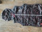 Bodywarmer Eskadron paardrij kleding maat S/M, Dieren en Toebehoren, Ophalen of Verzenden, Zo goed als nieuw, Bovenkleding