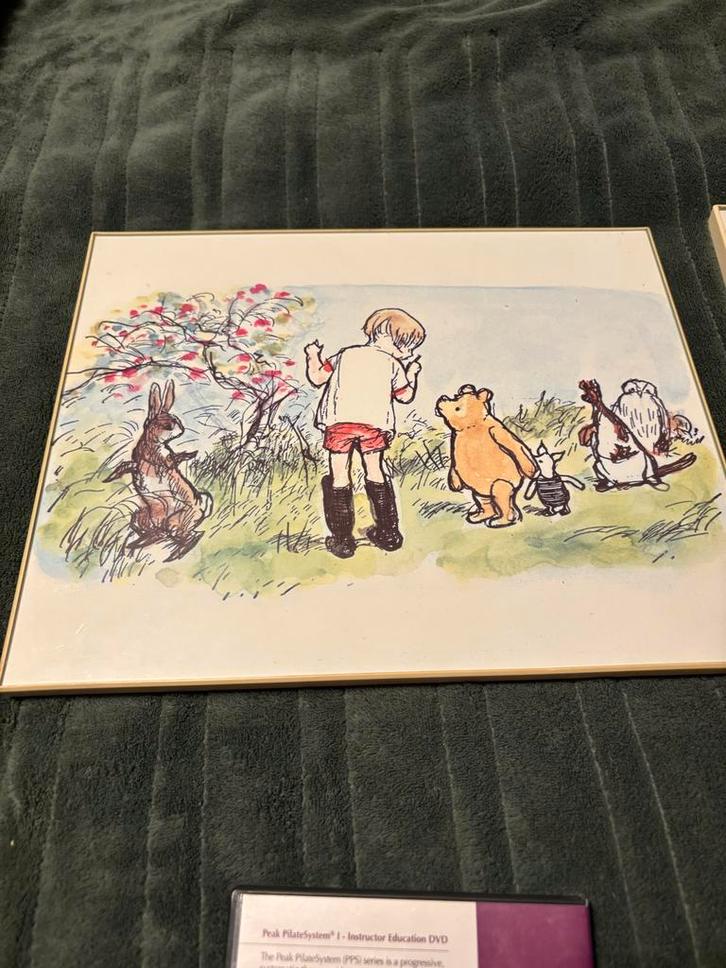 Winnie de Poeh Schilderijen Set, Antiek en Kunst, Kunst | Tekeningen en Foto's, Ophalen of Verzenden