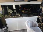 Aqualantis aquarium met onderkast is 150, Dieren en Toebehoren, Vissen | Aquaria en Toebehoren, Ophalen, Gebruikt, Gevuld zoetwateraquarium