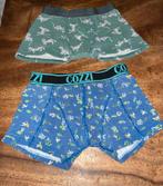 Onderbroek mt 110-116 jongen, Kinderen en Baby's, Kinderkleding | Maat 110, Nacht- of Onderkleding, Ophalen of Verzenden, Zo goed als nieuw