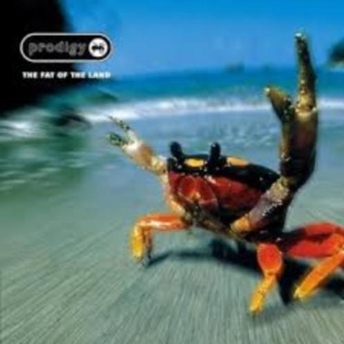 Prodigy, Cd's en Dvd's, Cd's | Dance en House, Gebruikt, Verzenden
