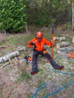 Bomen kappen, boomchirurg, boomverwijdering, wortelverwijder