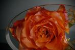 Waxinelichthouder ovaal van epoxyhars gevuld met bloemen., Ophalen of Verzenden, Nieuw