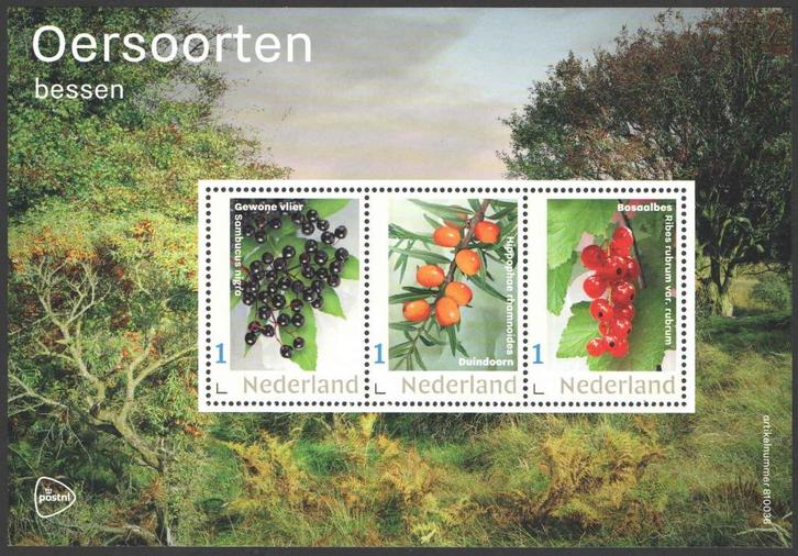 Postzegels Oersoorten: Bessen, Postzegels en Munten, Postzegels | Nederland, Postfris, Na 1940, Ophalen of Verzenden