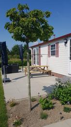 Chalet te koop Scheldeoord Baarland Zeeland, Caravans en Kamperen, Stacaravans, Tot en met 4