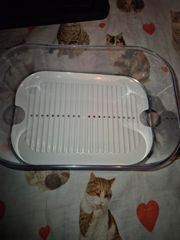 Mepal Kaasdoos Modula tray, Huis en Inrichting, Keuken | Keukenbenodigdheden, Zo goed als nieuw, Ophalen