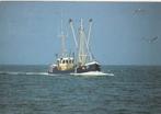 WESTDONGERADEEL Garnalenkotter WL 27, Verzamelen, Ansichtkaarten | Nederland, Verzenden, 1980 tot heden, Gelopen, Friesland