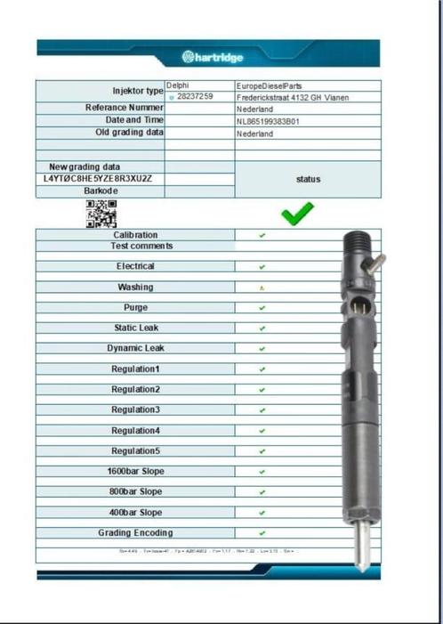 Gereviseerd Delphi Verstuiver 28237259 28232234 R05601D, Auto-onderdelen, Brandstofsystemen, Nissan, Renault, Dacia, Gereviseerd