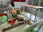 COMPLETE HAMSTER SET (incl groot terrarium), Zo goed als nieuw, 75 tot 110 cm, Ophalen, Minder dan 60 cm