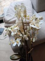 Witte Orchidee - Prachtige kunststof Kamerplant, Ophalen, Overige soorten, Halfschaduw, In pot