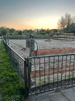 Aangeboden stalling en weidegang voor een merrie pony, Dieren en Toebehoren, Stalling en Weidegang, Weidegang, 1 paard of pony