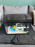 Aquarium (gloednieuw) incl. Pomp, lamp en netje, Ophalen of Verzenden, Zo goed als nieuw