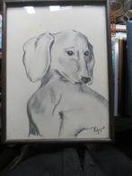 Leuke Tekening van een PUP TECKEL ?? gesigneerd, Ophalen of Verzenden