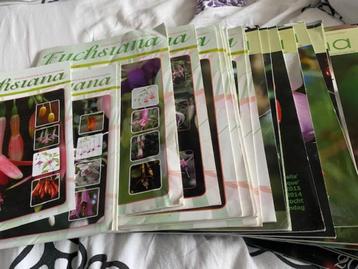 fuchsiana Nederlandse kring van fuchsiavrienden 2012-2024 beschikbaar voor biedingen