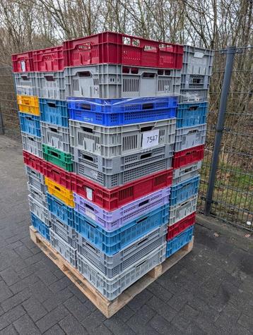 Palletactie , kunststof kratten  € 149,-- per pallet beschikbaar voor biedingen