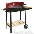 Barbecue Rechthoekig 56 x 33 cm, Ophalen, Nieuw