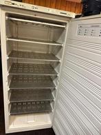 Grote Vriezer 170-75-68 werkt perfect €225, Witgoed en Apparatuur, Vriezers en Diepvrieskisten, Ophalen of Verzenden, Gebruikt