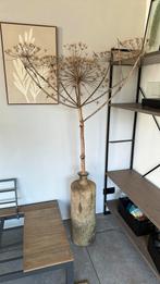 Mooie grote berenklauw, Ophalen of Verzenden, Zo goed als nieuw