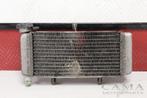 RADIATEUR Honda CBR 250 RR 2008-2013 (01-2008/12-2013), Motoren, Gebruikt