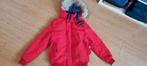 Tommy hilfiger jeans winter jas M, Kleding | Heren, Jassen | Winter, Ophalen of Verzenden, Zo goed als nieuw, Rood