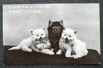 Drie jonge poezen met een UK-verjaardagswens, 1910, Verzamelen, Ansichtkaarten | Dieren, Verzenden, Voor 1920, Gelopen, Hond of Kat