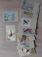 Complete serie Sluis vogelkaarten nr 1 t/m 60, Ophalen of Verzenden, 1960 tot 1980, Ongelopen, België en Luxemburg