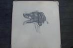 Tekening Drentse Patrijshond, Minder dan 50 cm, Gebruikt, Ophalen of Verzenden, Minder dan 50 cm