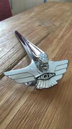 Jaguar MK VII Motorkap Embleem - Zeer Nette Staat!, Gebruikt, Voor, Ophalen of Verzenden, Jaguar