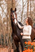 Paardenstalling gezocht omgeving Deventer/Twello, Dieren en Toebehoren