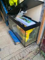 Aquarium, Dieren en Toebehoren, Ophalen, Zo goed als nieuw, Leeg aquarium