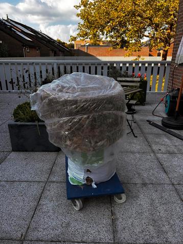 Twee rollen knauf glaswol 12 cm dik 37 breed beschikbaar voor biedingen
