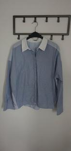Leuke gestreepte Drykorn blouse maat XL, Drykorn, Blauw, Maat 42/44 (L), Nieuw