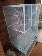 Vogelkooi wit, Dieren en Toebehoren, Vogels | Hokken en Kooien, Ophalen, Zo goed als nieuw, Metaal, Vogelkooi