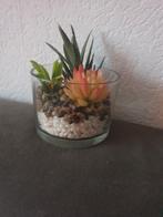 Leuke decoratieve plant in glazen pot, Ophalen of Verzenden, Zo goed als nieuw