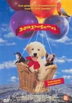 Napoleon ( is een jonge Golden Retriever puppy), Cd's en Dvd's, Dvd's | Avontuur, Alle leeftijden, Ophalen of Verzenden, Zo goed als nieuw