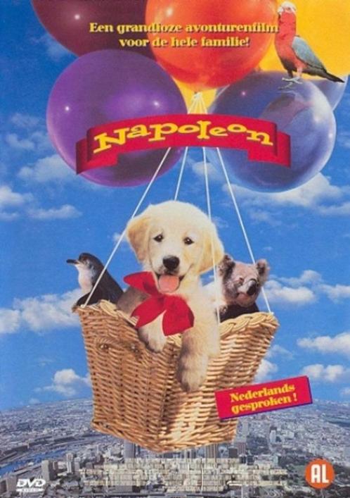 Napoleon ( is een jonge Golden Retriever puppy), Cd's en Dvd's, Dvd's | Avontuur, Zo goed als nieuw, Alle leeftijden, Ophalen of Verzenden