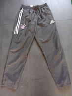 Trainingsbroek van FC Bayern München in de maat M, Maat 48/50 (M), Ophalen of Verzenden, Zo goed als nieuw, Adidas