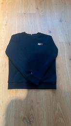 Blauwe Tommy Hilfiger trui, Trui of Vest, Ophalen of Verzenden, Jongen, Tommy Hilfiger