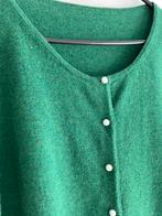 Maat L wollen trui lamswollen trui vest cardigan, Ophalen of Verzenden, Zo goed als nieuw, Maat 42/44 (L), Groen