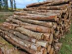 Machinehout boomstammen haardhout eiken, Tuin en Terras, Haardhout, 6 m³ of meer, Ophalen of Verzenden, Eikenhout, Stammen