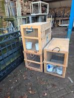 Dierenkooien/Kisten, Ophalen, Zo goed als nieuw, Hout, Vogelkooi