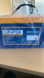 LifepO4 accu, Ophalen of Verzenden, Nieuw