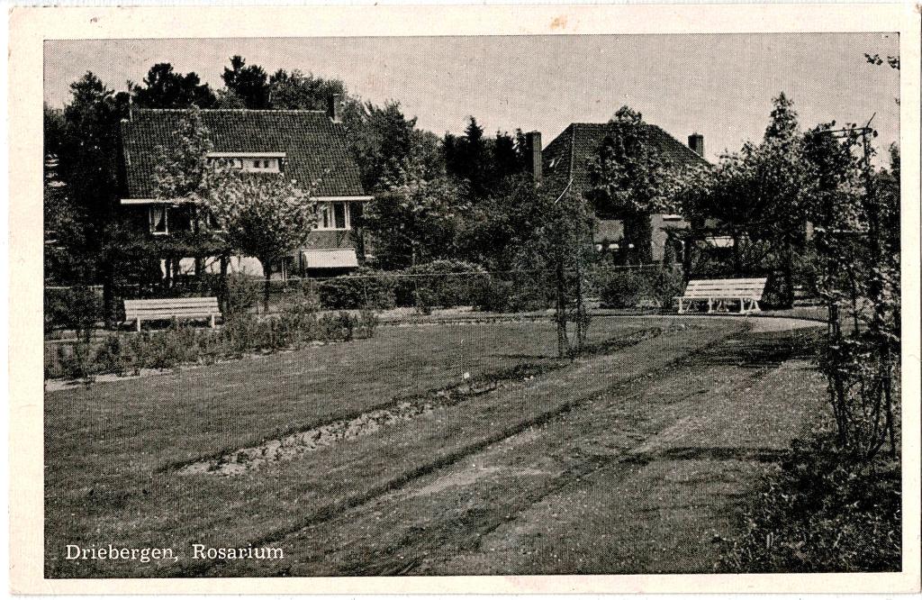 Driebergen (U), Rosarium, gelopen kaart, richtprijs 3,==, Verzenden, 1940 tot 1960, Gelopen, Utrecht