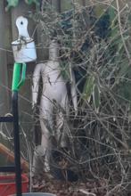 Paspop, Ophalen, Gebruikt, Paspop