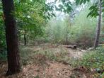 Bosgrond gezocht - ontvang een geheel vrijblijvend bod, Tuin en Terras, Minder dan 3 m³, Ophalen
