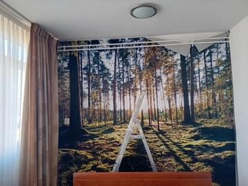 Behangster beschikbaar voor biedingen