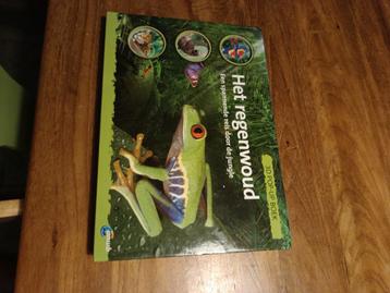 Het Regenwoud - 3D Pop-Up Boek beschikbaar voor biedingen