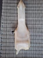 Olietankje Honda MT50 MT80., Fietsen en Brommers, Ophalen of Verzenden