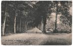 700106	Bergen	1922 De Hoflaan	Gelopen met postzegel, Verzamelen, Ansichtkaarten | Nederland, Ophalen of Verzenden, 1920 tot 1940