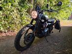 Triumph Street Scrambler, 900 cc, mat khaki, groen, 2 cilinders, 900 cc, Particulier, Meer dan 35 kW